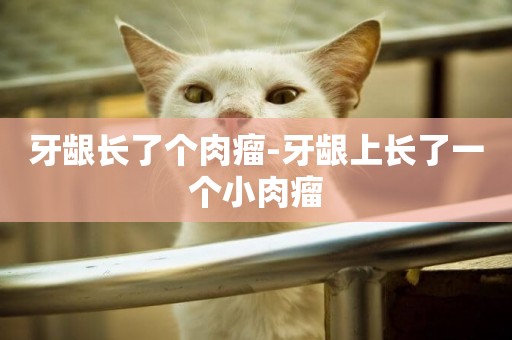 牙齦長了個肉瘤-牙齦上長了一個小肉瘤