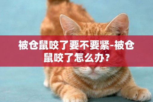 被倉鼠咬了要不要緊-被倉鼠咬了怎么辦？