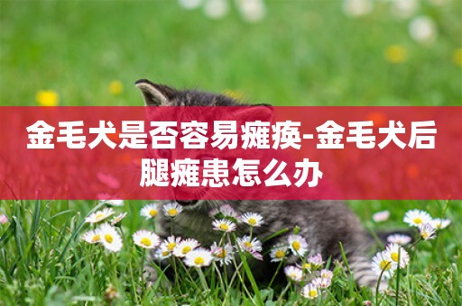 金毛犬是否容易癱瘓-金毛犬后腿癱患怎么辦