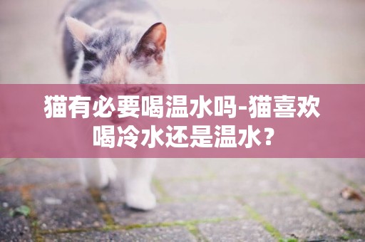 貓有必要喝溫水嗎-貓喜歡喝冷水還是溫水？