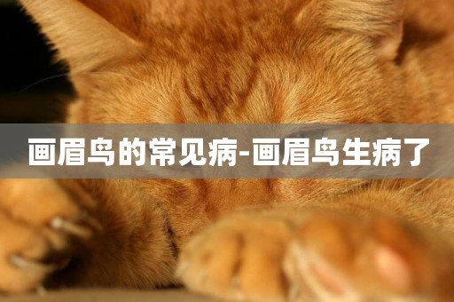 畫眉鳥的常見病-畫眉鳥生病了