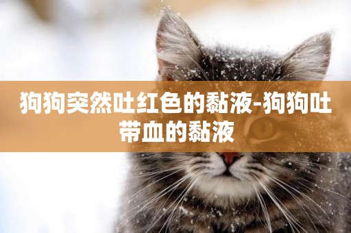 狗狗突然吐紅色的黏液-狗狗吐帶血的黏液
