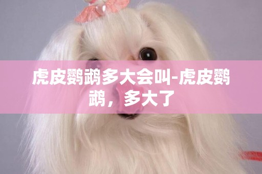 虎皮鸚鵡多大會叫-虎皮鸚鵡，多大了
