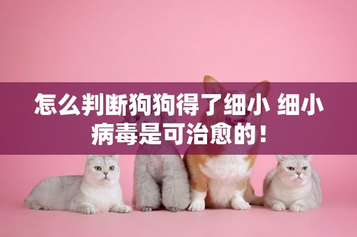 怎么判斷狗狗得了細小 細小病毒是可治愈的！