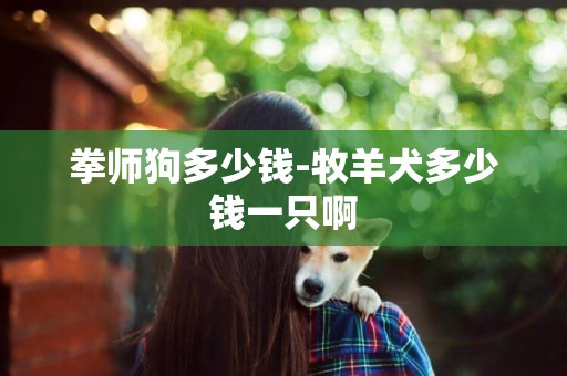 拳師狗多少錢-牧羊犬多少錢一只啊