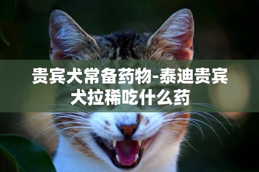 貴賓犬常備藥物-泰迪貴賓犬拉稀吃什么藥
