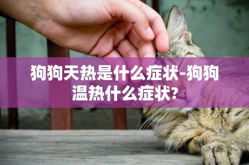 狗狗天熱是什么癥狀-狗狗溫熱什么癥狀?