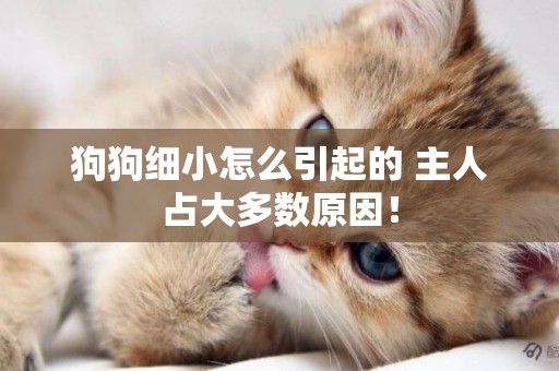 狗狗細小怎么引起的 主人占大多數原因！