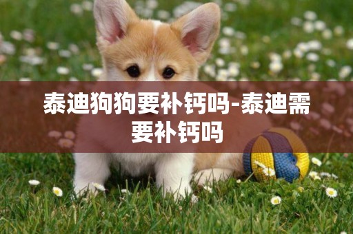 泰迪狗狗要補鈣嗎-泰迪需要補鈣嗎