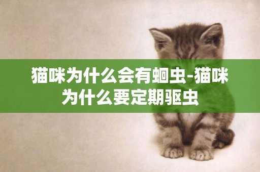 貓咪為什么會有蛔蟲-貓咪為什么要定期驅蟲