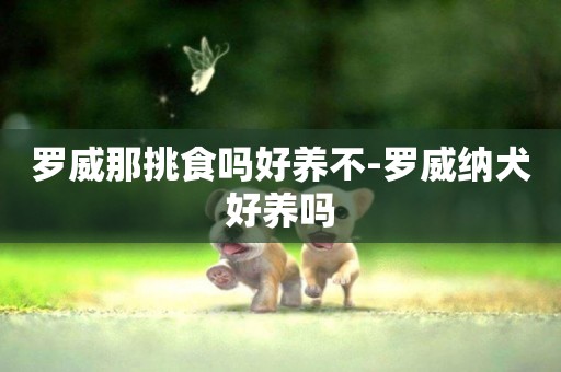 羅威那挑食嗎好養不-羅威納犬好養嗎