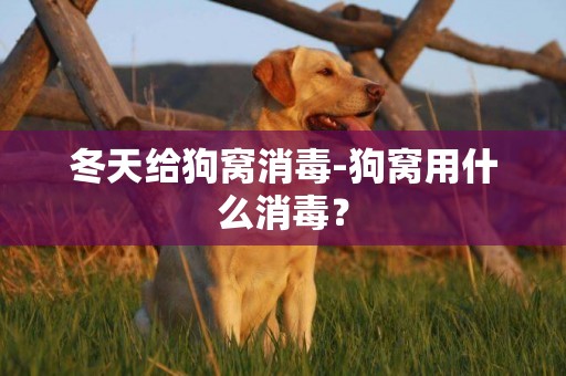 冬天給狗窩消毒-狗窩用什么消毒？