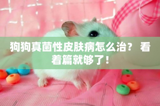 狗狗真菌性皮膚病怎么治？ 看著篇就夠了！