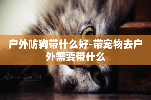 戶外防狗帶什么好-帶寵物去戶外需要帶什么