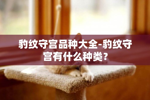 豹紋守宮品種大全-豹紋守宮有什么種類？
