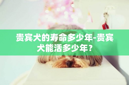 貴賓犬的壽命多少年-貴賓犬能活多少年？