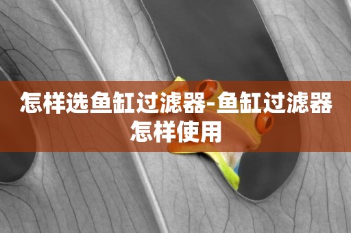 怎樣選魚缸過濾器-魚缸過濾器怎樣使用
