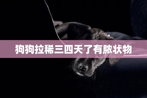狗狗拉稀三四天了有膿狀物