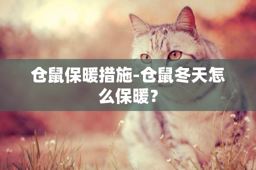 倉鼠保暖措施-倉鼠冬天怎么保暖？