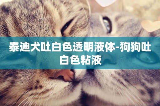 泰迪犬吐白色透明液體-狗狗吐白色粘液