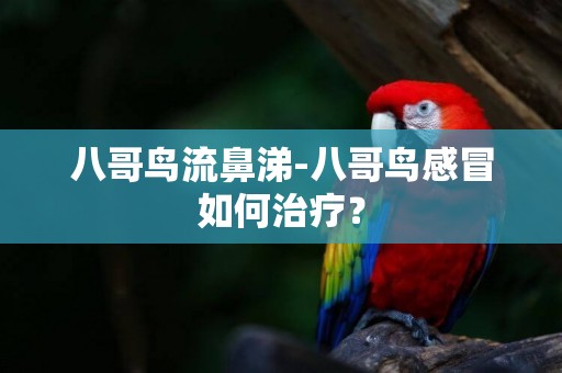 八哥鳥流鼻涕-八哥鳥感冒如何治療？