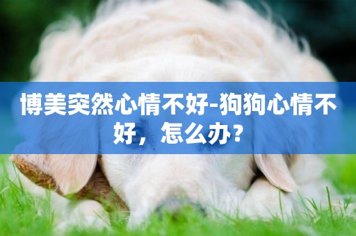 博美突然心情不好-狗狗心情不好，怎么辦？