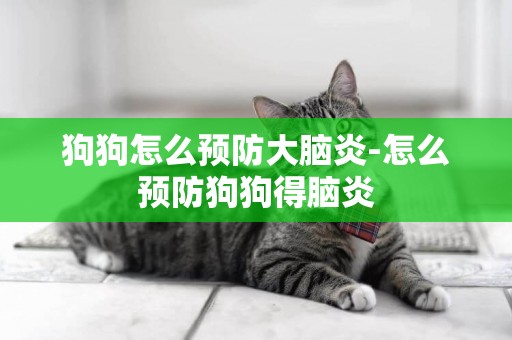 狗狗怎么預防大腦炎-怎么預防狗狗得腦炎