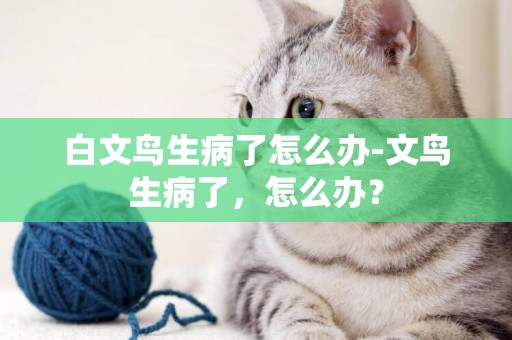 白文鳥生病了怎么辦-文鳥生病了，怎么辦？
