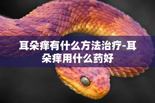耳朵癢有什么方法治療-耳朵癢用什么藥好