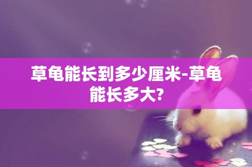草龜能長到多少厘米-草龜能長多大?