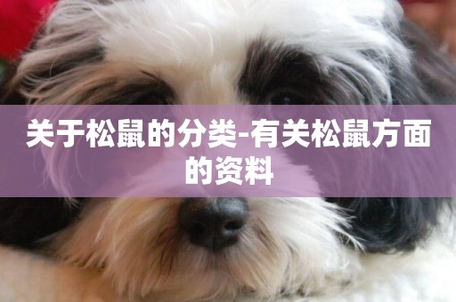 關于松鼠的分類-有關松鼠方面的資料