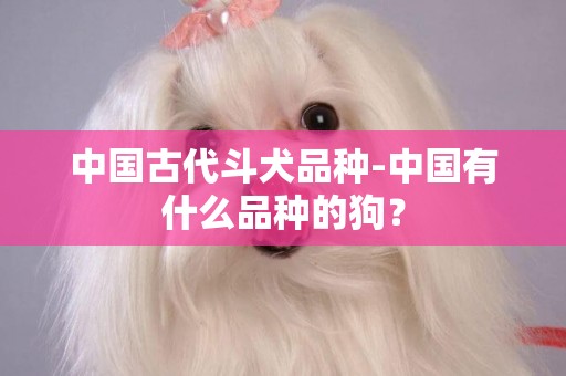 中國古代斗犬品種-中國有什么品種的狗？