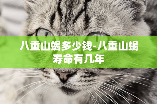 八重山蝎多少錢-八重山蝎壽命有幾年