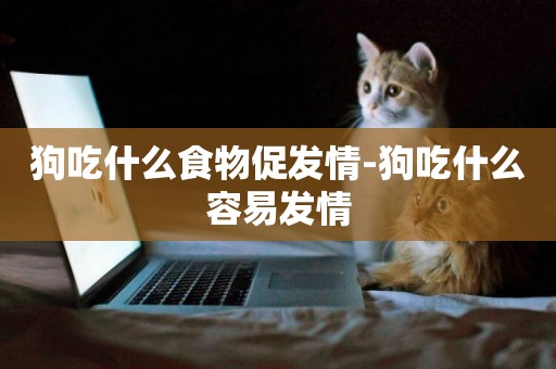 狗吃什么食物促發情-狗吃什么容易發情