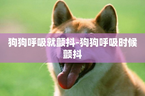 狗狗呼吸就顫抖-狗狗呼吸時候顫抖