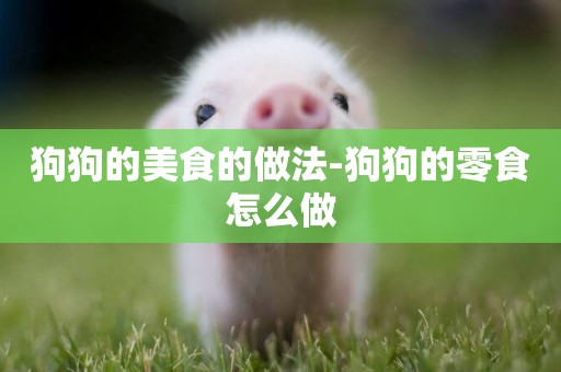 狗狗的美食的做法-狗狗的零食怎么做