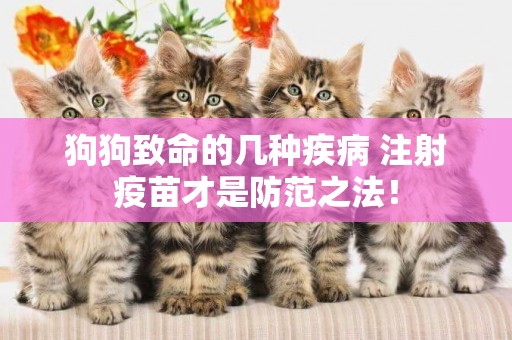 狗狗致命的幾種疾病 注射疫苗才是防范之法！