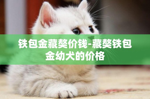 鐵包金藏獒價錢-藏獒鐵包金幼犬的價格