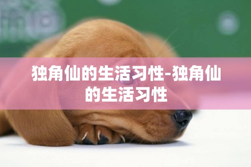 獨角仙的生活習性-獨角仙的生活習性
