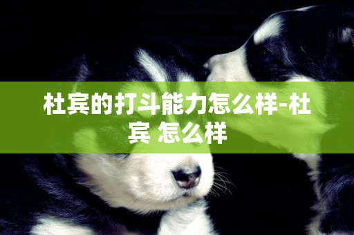 杜賓的打斗能力怎么樣-杜賓 怎么樣