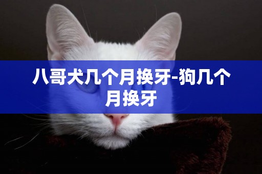 八哥犬幾個月換牙-狗幾個月換牙