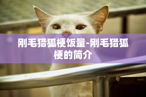 剛毛獵狐梗飯量-剛毛獵狐梗的簡介