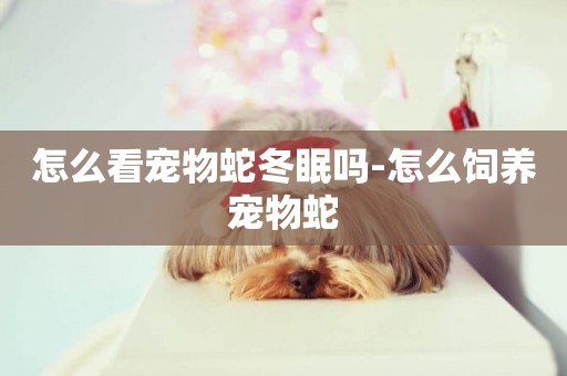 怎么看寵物蛇冬眠嗎-怎么飼養寵物蛇
