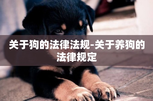 關于狗的法律法規-關于養狗的法律規定