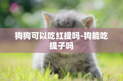 狗狗可以吃紅提嗎-狗能吃提子嗎