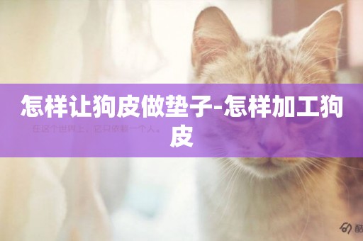 怎樣讓狗皮做墊子-怎樣加工狗皮