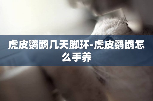 虎皮鸚鵡幾天腳環-虎皮鸚鵡怎么手養