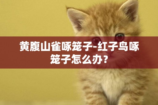 黃腹山雀啄籠子-紅子鳥啄籠子怎么辦？