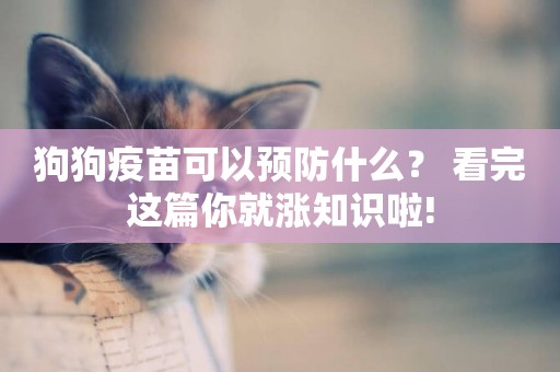 狗狗疫苗可以預防什么？ 看完這篇你就漲知識啦!