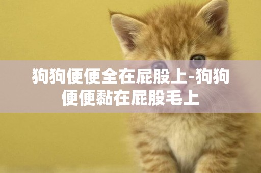 狗狗便便全在屁股上-狗狗便便黏在屁股毛上